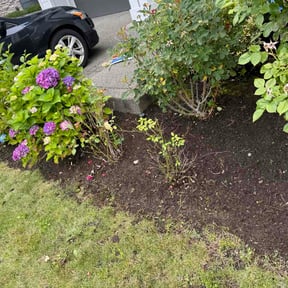 Flower Bed Weeding by Turf Dasher reviewed on July 13, 2026