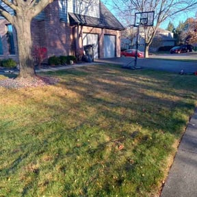 Leaf Removal by DLAWN SERVICE LLC reviewed on December 18, 2025