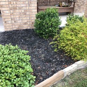 Flower Bed Weeding by Gulf Coast MultiServices LLC reviewed on August 21, 2025