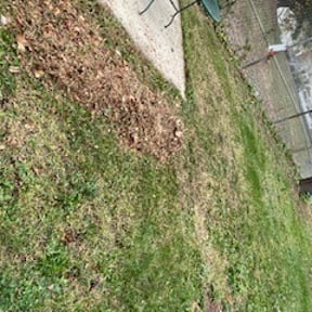 Leaf Removal by Rjm reviewed on November 23, 2025