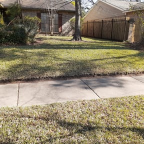 Leaf Removal by Mike&#039;s Mowing reviewed on September 24, 2025