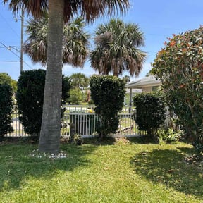 Bush Trimming by Basic lawn care reviewed on August 17, 2025