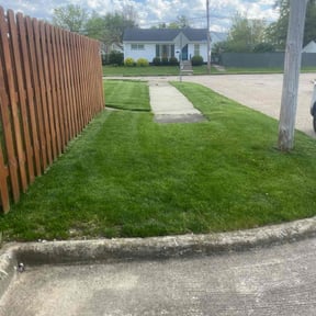 turf maintenance by Elston Lawn Care reviewed on April 2, 2024