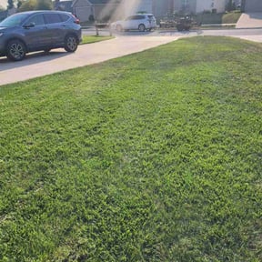 lawn care by Tim's Discount Lawn reviewed on August 16, 2023