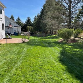 residential landscaping by Lawn Champs reviewed on August 15, 2025