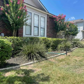 Bush Trimming by L &amp; J Landscaping  reviewed on June 27, 2020