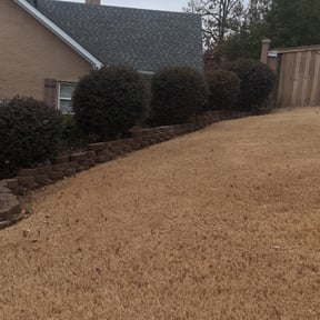 Bush Trimming by Towery's Lawn Care reviewed on August 19, 2025