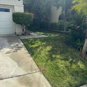 yard service by Family Landscaping reviewed on October 19, 2025