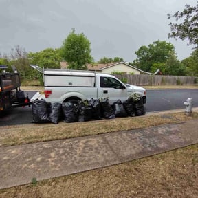 Bush Trimming by Efficient Trimming reviewed on August 18, 2025