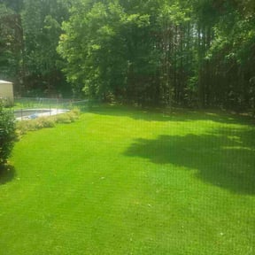 landscaping by REGAL LANDSCAPING GROUP LLC reviewed on August 21, 2025