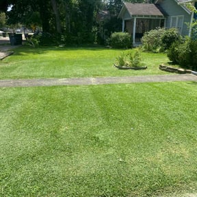 yard service by Top Cuts Lawncare reviewed on November 23, 2025
