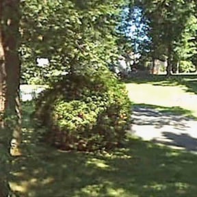 Bush Trimming by 253 lawn Services reviewed on June 15, 2026