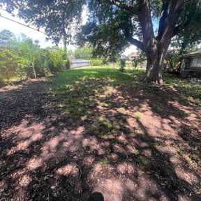 Leaf Removal by JJ Lawn and Tree Trimming reviewed on June 15, 2026