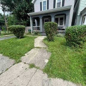Bush Trimming by HaydenHill Lawncare LLC reviewed on July 8, 2026