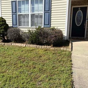 Flower Bed Weeding by UnlimitedGroundCare. reviewed on March 18, 2026