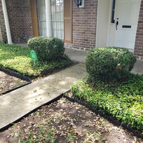 Bush Trimming by PFD property maintenance reviewed on August 20, 2025