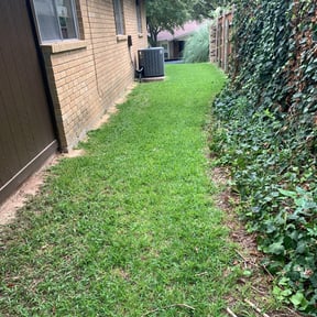 Bush Trimming by King Kong Lawn Care reviewed on August 17, 2025