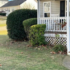 Bush Trimming by Auld lawn care reviewed on August 20, 2025