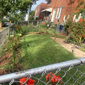 grass cutting by Cuts are Clean reviewed on September 19, 2023