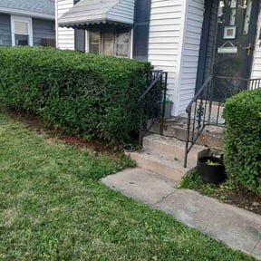 Bush Trimming by Ortega lawn services LL reviewed on August 20, 2025