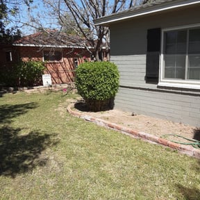 Bush Trimming by AnnaMaries Home and Lawn Care Services reviewed on August 20, 2025
