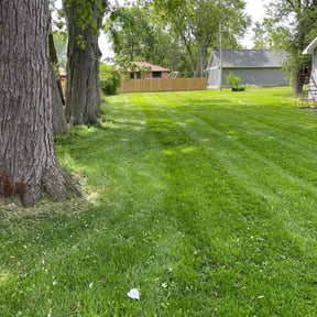 landscape maintenance by 3D GARDEN DESIGN and lawn care reviewed on August 18, 2025