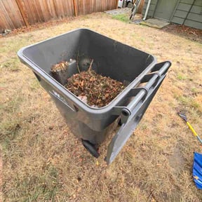 Leaf Removal by D&amp;D Landscaping reviewed on September 21, 2025