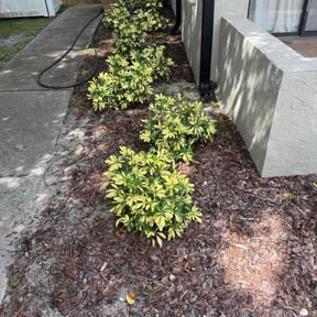 Flower Bed Weeding by K&amp;G Trees and landscaping reviewed on October 18, 2025