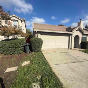 Bush Trimming by SacTown Clean Green Services LLC reviewed on November 19, 2025