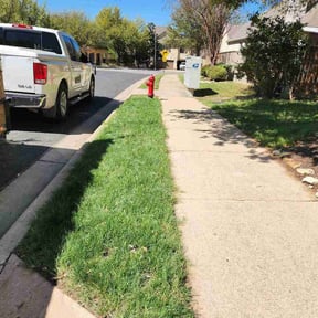 Leaf Removal by Symmetry Lawn &amp; Landscaping LLC reviewed on April 29, 2026