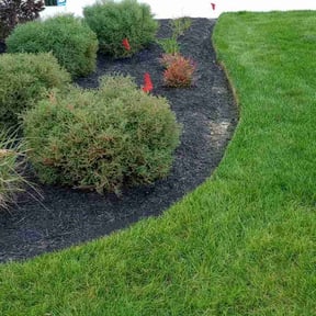 yard care by TwinEagleLandscaping reviewed on August 20, 2025