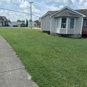 landscaping by P&R Lawn care reviewed on August 16, 2025