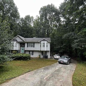 Bush Trimming by Haul Away 901 reviewed on November 23, 2025