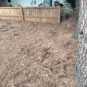 Leaf Removal by Marshall&#039;s Design and Maintenance reviewed on September 17, 2025