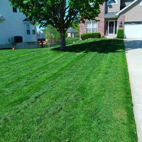 gardening service by Flowers Landscaping reviewed on August 21, 2025