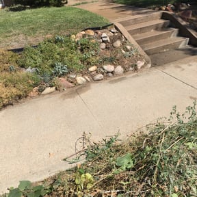 Flower Bed Weeding by T&M Lawn Services reviewed on August 19, 2025