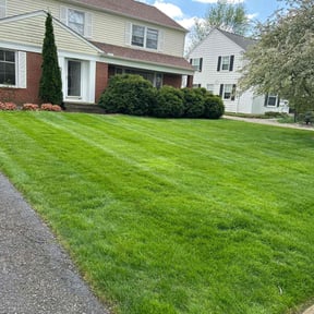gardening service by Green Missions Landscaping LLC reviewed on August 21, 2025