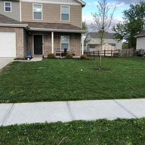 yard maintenance by 5 Star Services reviewed on August 16, 2025