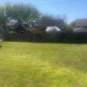 grass maintenance by Salvador Lawn and Tree Service reviewed on April 24, 2024