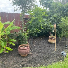 Flower Bed Weeding by Colorway Exotics reviewed on August 17, 2025