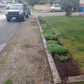 Flower Bed Weeding by Abdu Lawn & Landscape reviewed on August 20, 2025