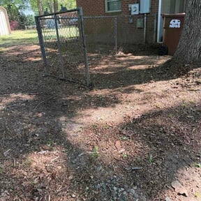 Leaf Removal by Triple S Cuts &amp; Cleanouts reviewed on May 5, 2026