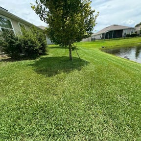yard service by Bean Sprout Lawn Service LLC reviewed on August 21, 2025