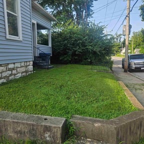 gardening service by Jay's lawn & Land reviewed on August 17, 2025