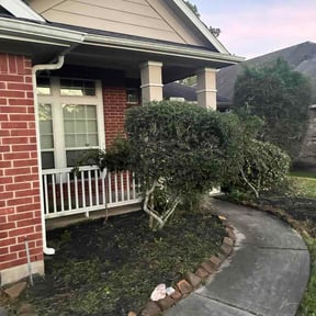 Flower Bed Weeding by Canary Yard Care reviewed on August 18, 2026
