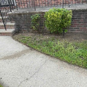 Bush Trimming by 10351 DFW LAWN SERVICE reviewed on July 31, 2026
