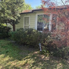 Bush Trimming by Lawn care service reviewed on October 22, 2025