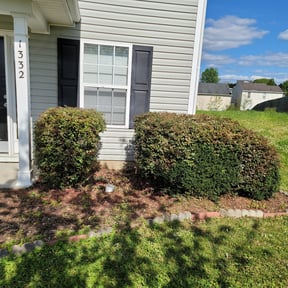 Bush Trimming by Lake Area Property Services reviewed on August 17, 2025