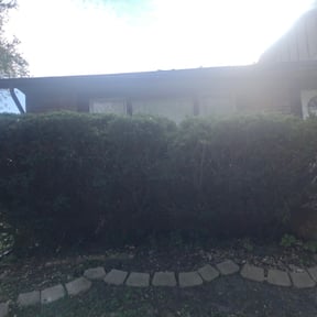 Bush Trimming by DeFeat It Landscaping reviewed on August 16, 2025
