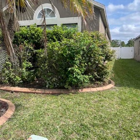 Flower Bed Weeding by Steve Fairfax reviewed on April 19, 2026